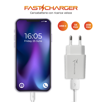 TECHMADE CARICABATTERIE 20W 1 PORTA USB-C OUTPUT FAST CHARGE